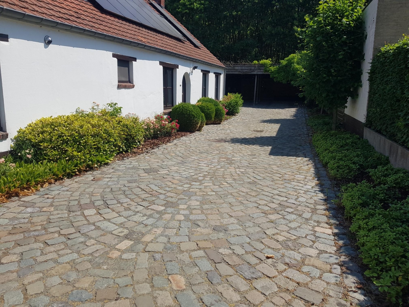 Boerenkassei in bogen