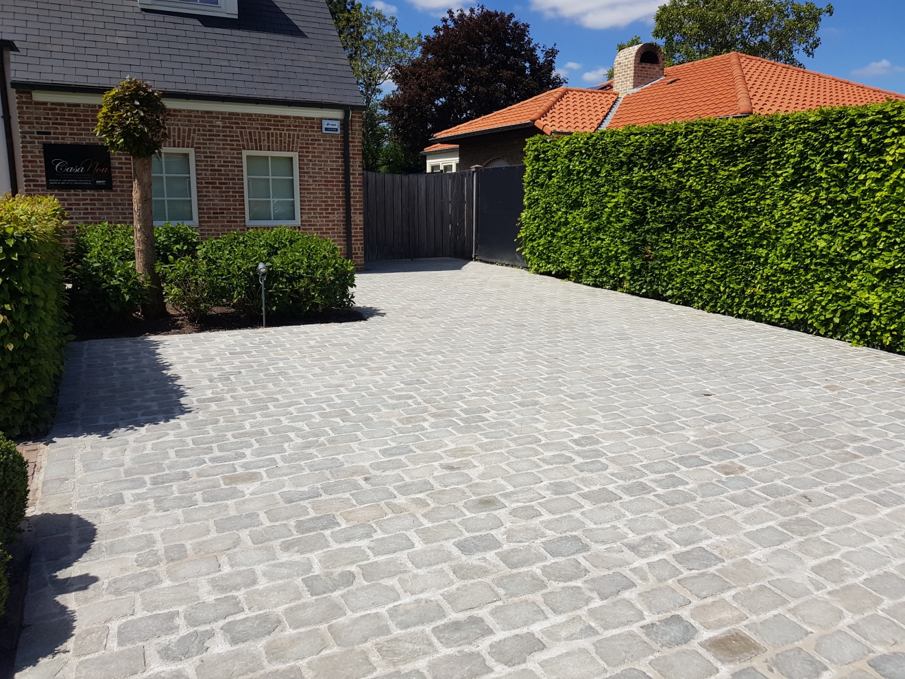 Indische platines grijs langwerpig