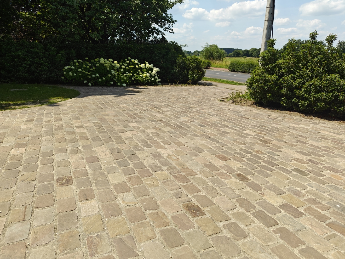 Indische Platines Okergeel langwerpig