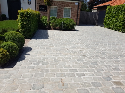 Indische platines grijs langwerpig