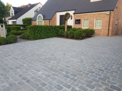 Indische platines grijs langwerpig