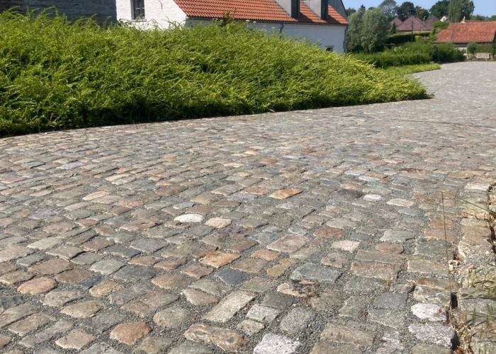 Boerenkassei in wildverband